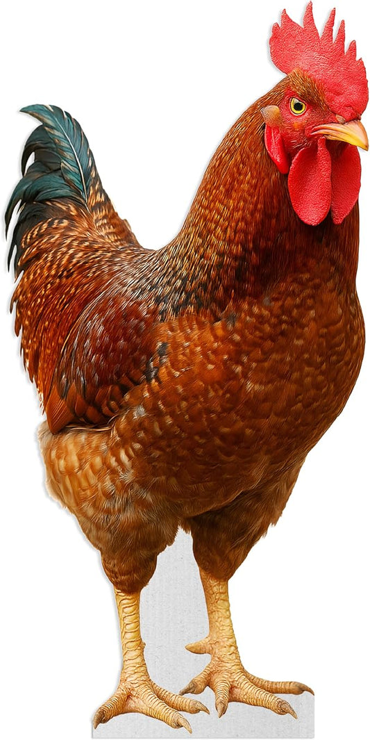 Rooster Life Size Standee - 2FT Freestanding Coroplast Cutouts | Farm Animal Standup Photo Booths, Birthday & Halloween Decorations