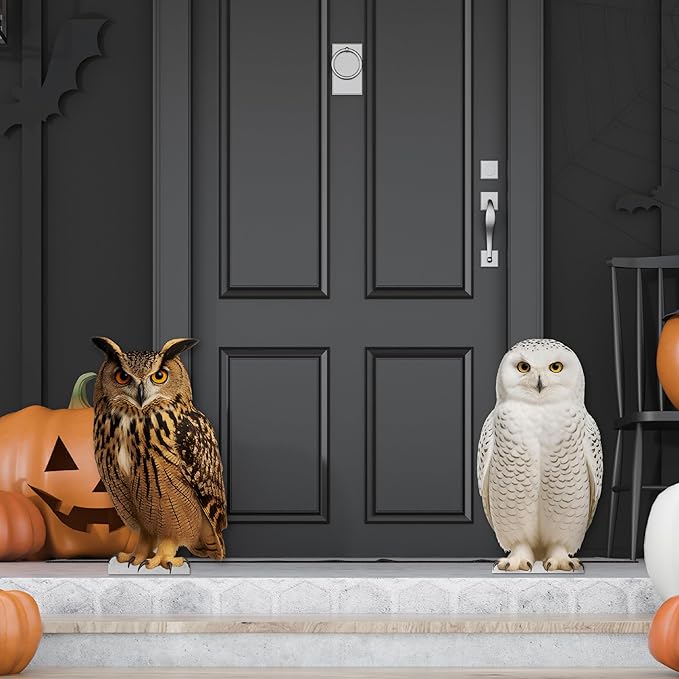 Owl Harry Life Size Standee - 2FT Freestanding Coroplast Cutouts | Safari Animal Standup Photo Booths, Jungle Party, Birthday & Halloween Decorations