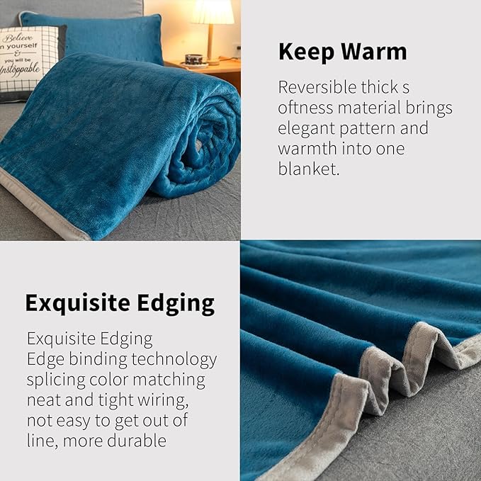 Fleece Bed Blankets Queen Size - Soft Lightweight Plush Fuzzy Cozy Luxury Blanket Microfiber Throw for Couch Bed,All-Season Breathable,80x90 Inches