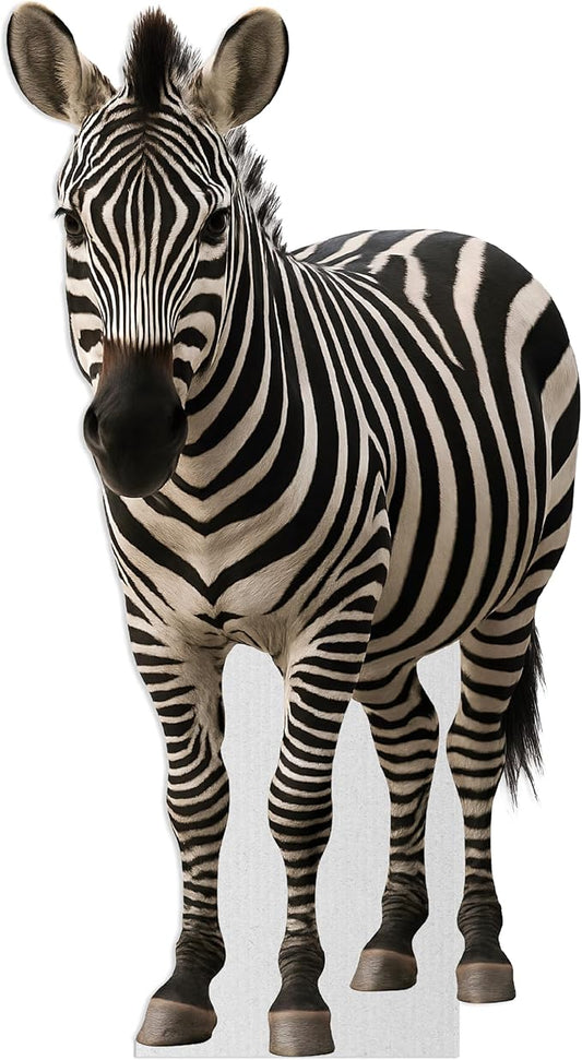 Zebra Life Size Standee - 5FT Freestanding Coroplast Cutouts | Safari Animal Standup Photo Booths, Jungle Party, Birthday & Halloween Decorations