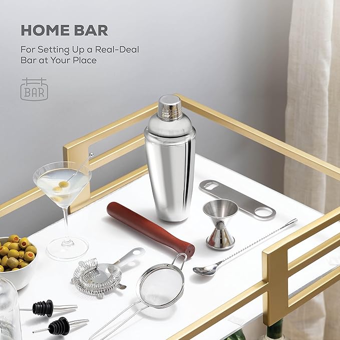 Cocktail Shaker Bartender Kit – Stainless Steel Drink Mixer Bar Accessories for The Home Bar Set with Travel Bag – Includes Muddler, Jigger, Strainer, Bar Spoon – 10-Piece Professional Cocktail Set