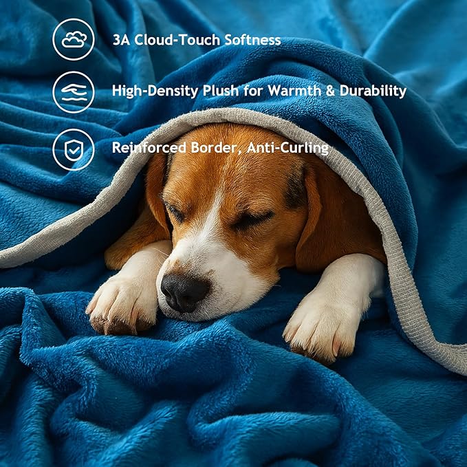 Fleece Bed Blankets Twin Size - Soft Lightweight Plush Fuzzy Cozy Luxury Blanket Microfiber Throw for Couch Bed,All-Season Breathable,60x80 Inches