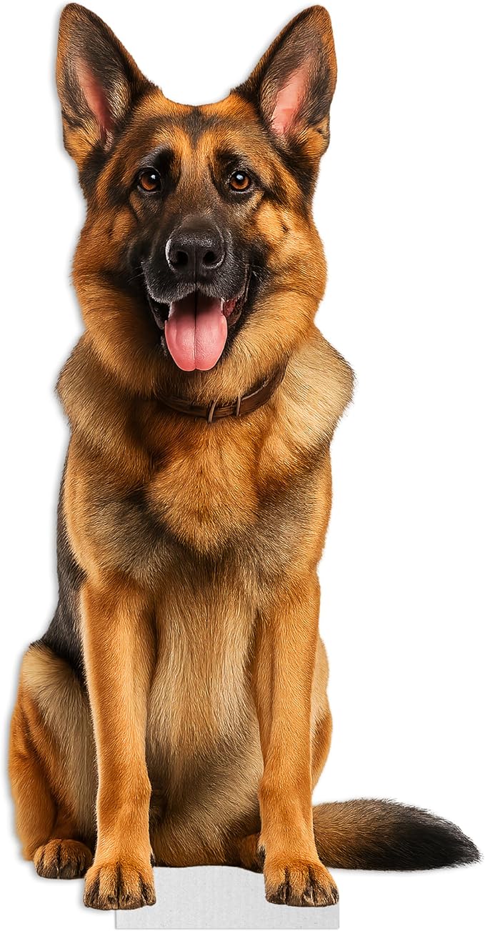 Dog - German Shephard Life Size Standee - 4FT Freestanding Coroplast Cutouts | Pets Animal Standup Photo Booths, Birthday & Halloween Decorations
