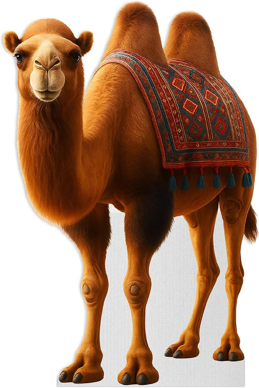 Camel Life Size Standee - 5.8FT Freestanding Coroplast Cutouts | Safari Animal Standup Photo Booths, Jungle Party, Birthday & Halloween Decorations