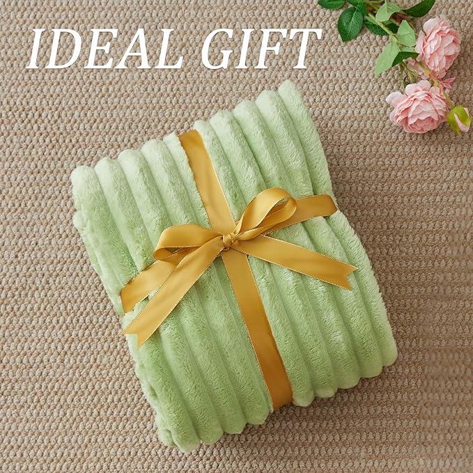BEDELITE Twin Blanket for Couch & Bed, 300GSM Soft & Warm Fleece Blanket, Decorative and Giftable Striped Grass Green Blankets for Women, Men, 60"x80"