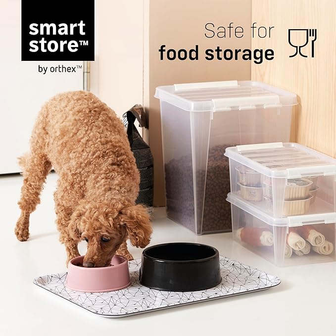 SmartStore Classic 15 Clear Storage Box, 14L/14.8QT BPA-Free Stackable Container with Secure Lid, Swedish Made Storage for A4 Papers & Games (6)