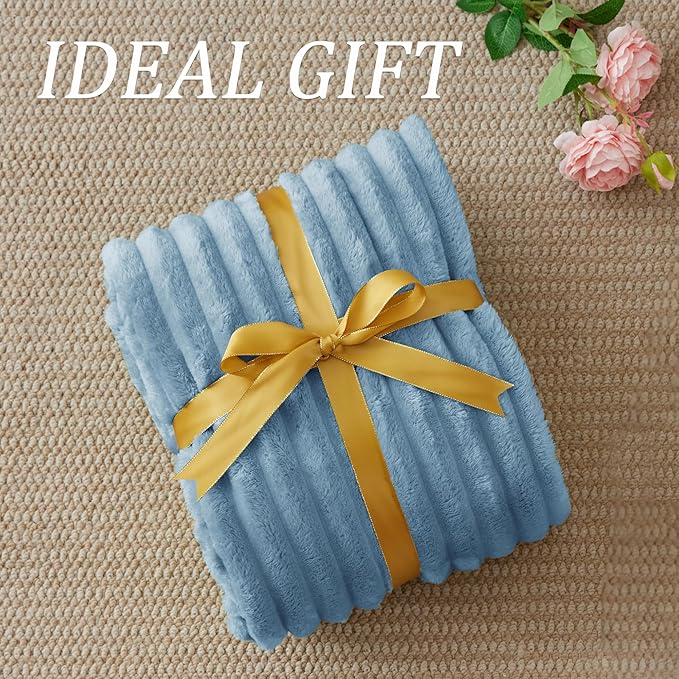BEDELITE Fleece Throw Blanket for Couch - 300GSM Soft & Warm Fluffy Light Blue Blanket, Decorative and Giftable Striped Blankets for Women, Men, 50"x60"