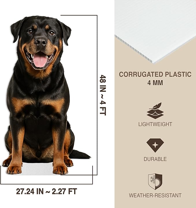 Dog - Rottwiler Life Size Standee - 4FT Freestanding Coroplast Cutouts | Pets Animal Standup Photo Booths, Birthday & Halloween Decorations