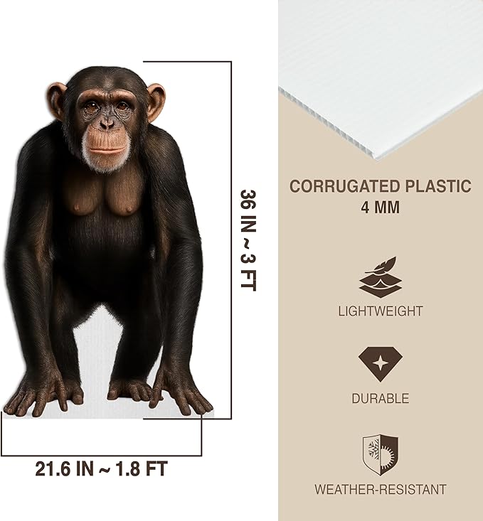 Chimpazee Life Size Standee - 3FT Freestanding Coroplast Cutouts | Jungle Animal Standup Photo Booths, Jungle Party, Birthday & Halloween Decorations
