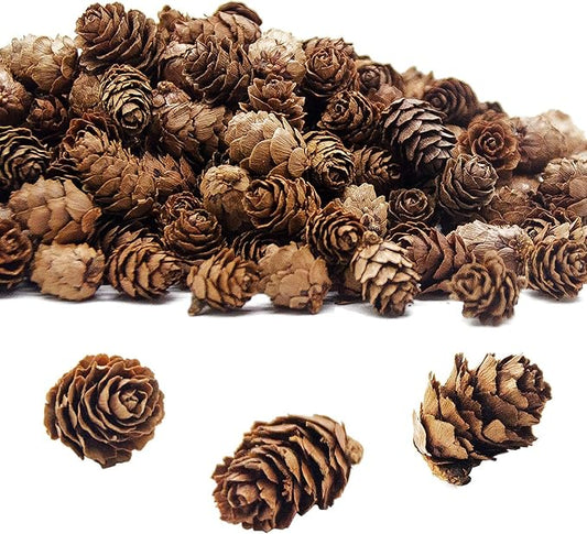 Deloky 400 PCS Christmas Natural Mini Pine Cones- Thanksgiving Pine Cones Ornaments- Fall Small Pinecones Vase Fillers for DIY Crafts, Home Decorations, Fall and Christmas, Wedding Decor