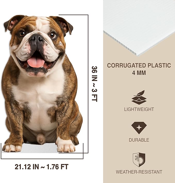 Bulldog - Brindle Life Size Standee - 3FT Freestanding Coroplast Cutouts | Pets Animal Standup Photo Booths, Birthday & Halloween Decorations