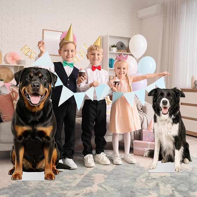 Dog - Border Collie Life Size Standee - 3FT Freestanding Coroplast Cutouts | Pets Animal Standup Photo Booths, Birthday & Halloween Decorations