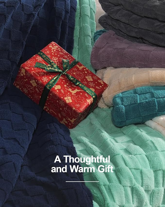 Pawque Super Soft Cozy Throw Blanket Queen Size for Couch Bed, Fluffy Sherpa Fleece Reversible Thick Warm Fuzzy Blanket for All-Season, 3D Checkered Jacquard Decorative Blankets, Teal Green, 90"x90"