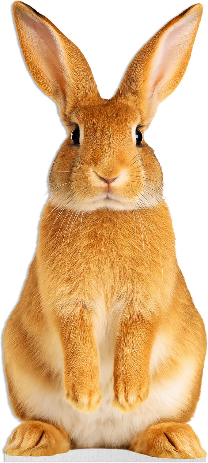 Rabbit Life Size Standee - 2FT Freestanding Coroplast Cutouts | Farm Animal Standup Photo Booths, Birthday & Halloween Decorations