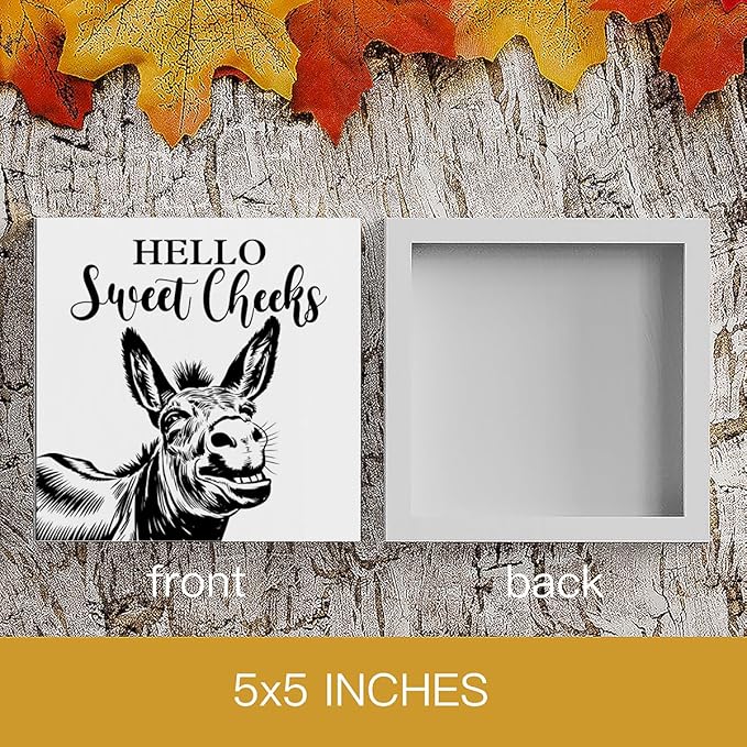 HTBIG Funny Donkey Bathroom Wooden Box Decor Hello Sweet Cheeks Wooden Box Logo Put It on a Bathroom Corner Shelf to Create a More Cheerful Ambiance 5 x 5 Inch