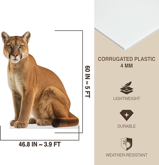 Cougar Life Size Standee - 5FT Freestanding Coroplast Cutouts | Jungle Animal Standup Photo Booths, Jungle Party, Birthday & Halloween Decorations