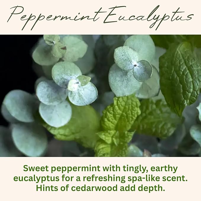 Wickless Candles for Candle Warmer Lamp, Many Scents to Choose, 100% Non-Toxic Soy Wax, Scented Candle Melts for Warming Plate, Handmade in The USA (Peppermint Eucalyptus)