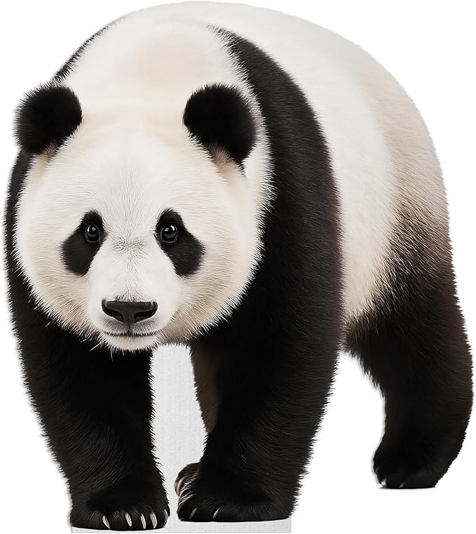 Panda - Walking Life Size Standee - 4FT Freestanding Coroplast Cutouts | Safari Animal Standup Photo Booths, Jungle Party, Birthday & Halloween Decorations