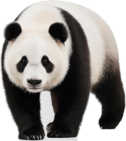 Panda - Walking Life Size Standee - 4FT Freestanding Coroplast Cutouts | Safari Animal Standup Photo Booths, Jungle Party, Birthday & Halloween Decorations