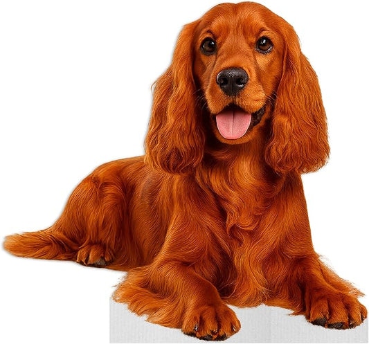 Dog - Cocker Spaniel Life Size Standee - 3FT Freestanding Coroplast Cutouts | Pets Animal Standup Photo Booths, Birthday & Halloween Decorations
