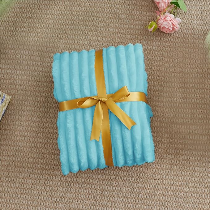 BEDELITE Twin Blanket for Couch & Bed, 300GSM Soft & Warm Fleece Blanket, Decorative and Giftable Striped Sky Blue Blankets for Women, Men, 60"x80"