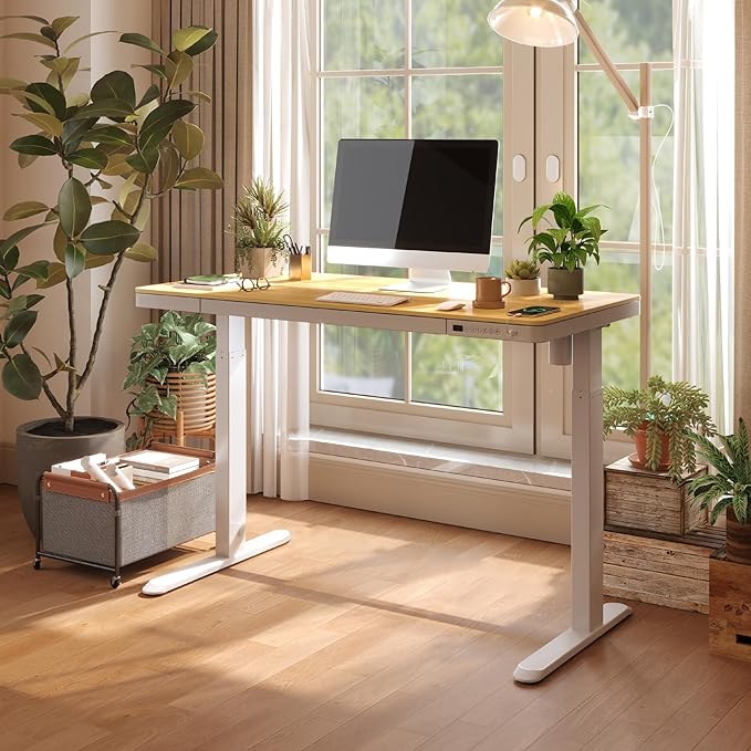 FLEXISPOT Electric Standing Desk with Drawer Storage Adjustable Height Quick Assembly Table w/USB Charge Ports, Child Lock （Natural Desktop + White Frame）