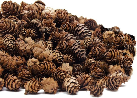 Deloky 250 PCS Christmas Natural Mini Pine Cones-Thanksgiving Pinecones Ornaments for DIY Crafts, Home Decorations,Fall and Christmas,Wedding Decor