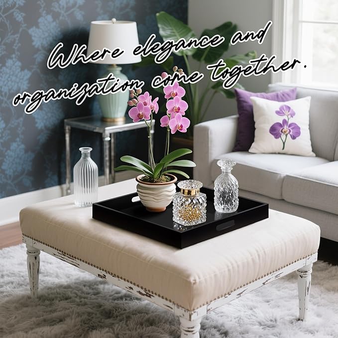 Glossy Black Acrylic Serving Tray with Handles-Butler Trays for Coffee Table, Snacks,Breakfast in Bed, Kitchen Countertop,Vanity,Makeup Organizer,Ottoman (Black, 20x20 Inch)