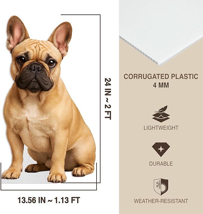 French Bulldog Fawn Life Size Standee - 2FT Freestanding Coroplast Cutouts | Pets Animal Standup Photo Booths, Birthday & Halloween Decorations