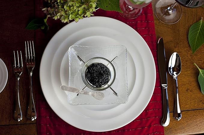 Fortessa San Marco 18/10 Stainless Steel Flatware Solid Handle Table Knife, Set of 12