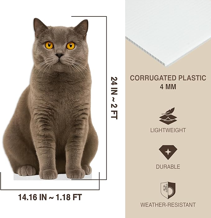 Cat - British Shorthair Life Size Standee - 2FT Freestanding Coroplast Cutouts | Pets Animal Standup Photo Booths, Birthday & Halloween Decorations
