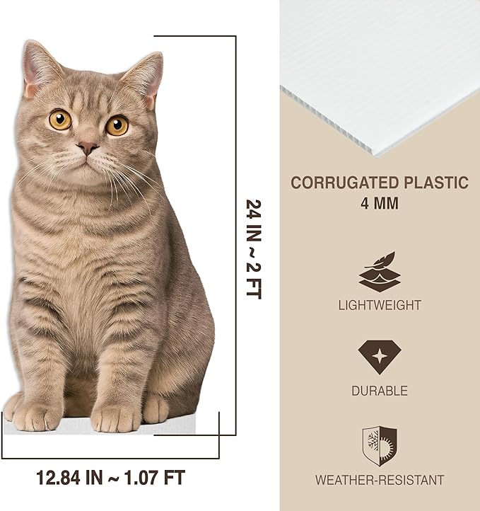 Cat - Scottish Life Size Standee - 2FT Freestanding Coroplast Cutouts | Pets Animal Standup Photo Booths, Birthday & Halloween Decorations
