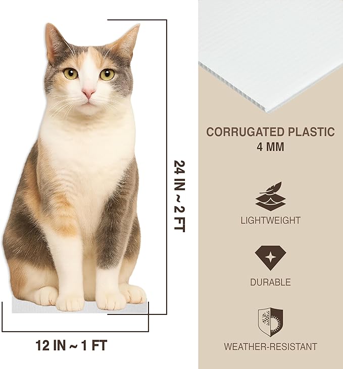 Cat - Grey Orange Life Size Standee - 2FT Freestanding Coroplast Cutouts | Pets Animal Standup Photo Booths, Birthday & Halloween Decorations