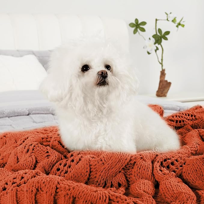 Amélie Home Chunky Knit Throw Blanket, Dual-Sided Soft Chenille Breathable Cable Knitted Blanket for Couch, Farmhouse Decorative Throw for Sofa & Chair, 60"x80", Burnt Orange