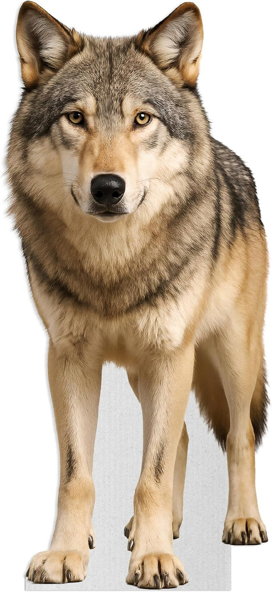 Wolf Life Size Standee - 3FT Freestanding Coroplast Cutouts | Safari Animal Standup Photo Booths, Jungle Party, Birthday & Halloween Decorations