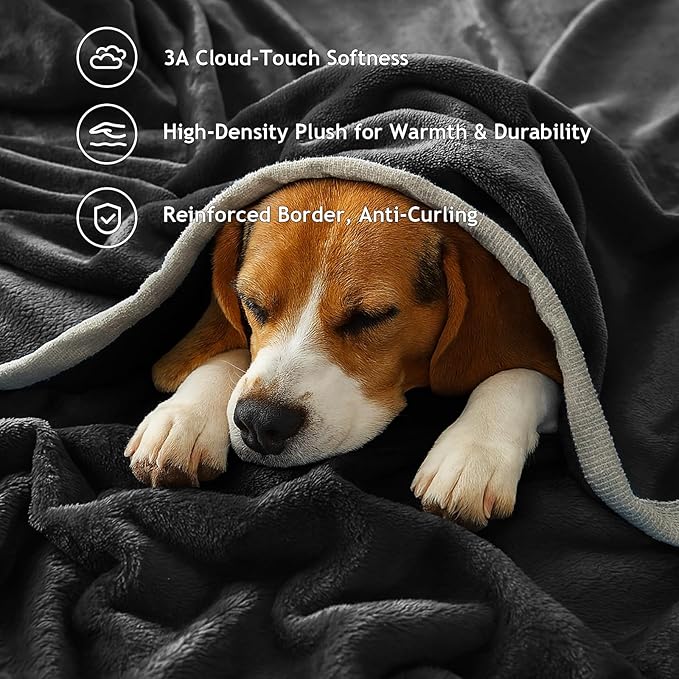 Fleece Bed Blankets Twin Size - Soft Lightweight Plush Fuzzy Cozy Luxury Blanket Microfiber Throw for Couch Bed,All-Season Breathable,60x80 Inches