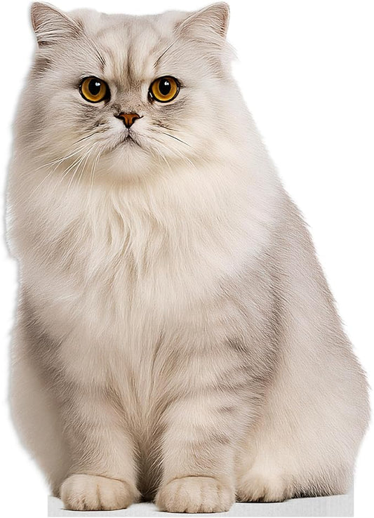 Cat - Persian Grey Life Size Standee - 2FT Freestanding Coroplast Cutouts | Pets Animal Standup Photo Booths, Birthday & Halloween Decorations