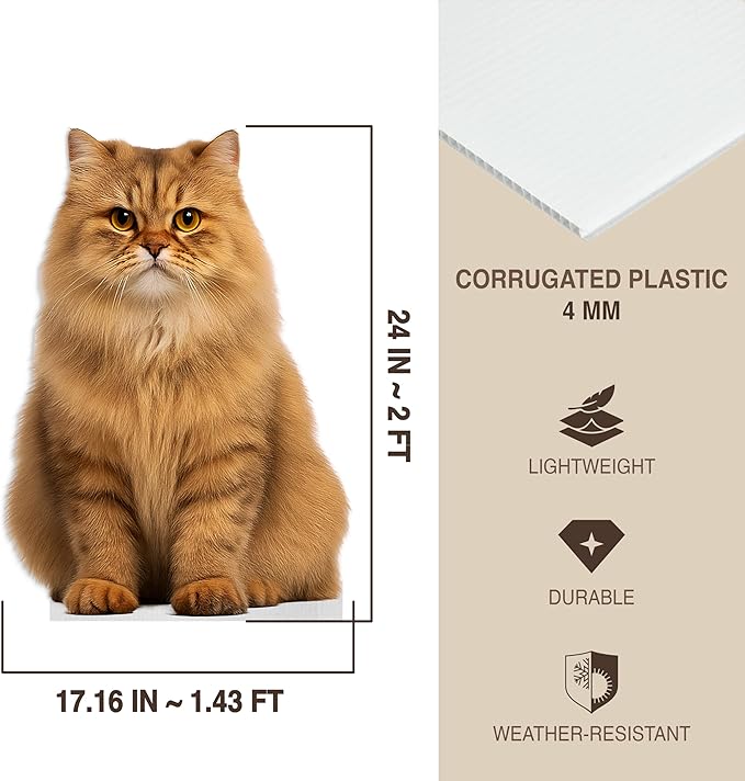 Cat - Persian Orange Life Size Standee - 2FT Freestanding Coroplast Cutouts | Pets Animal Standup Photo Booths, Birthday & Halloween Decorations