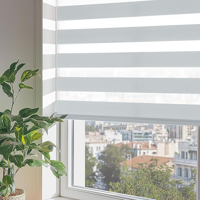 ChrisDowa Cordless Zebra Blinds for Windows, Dual Layer Free-Stop Light Filtering Window Roller Shades, Pull Down Privacy Zebra Shades for Home, Office, Bedroom, Door (64" W x 72" H, Light Grey)