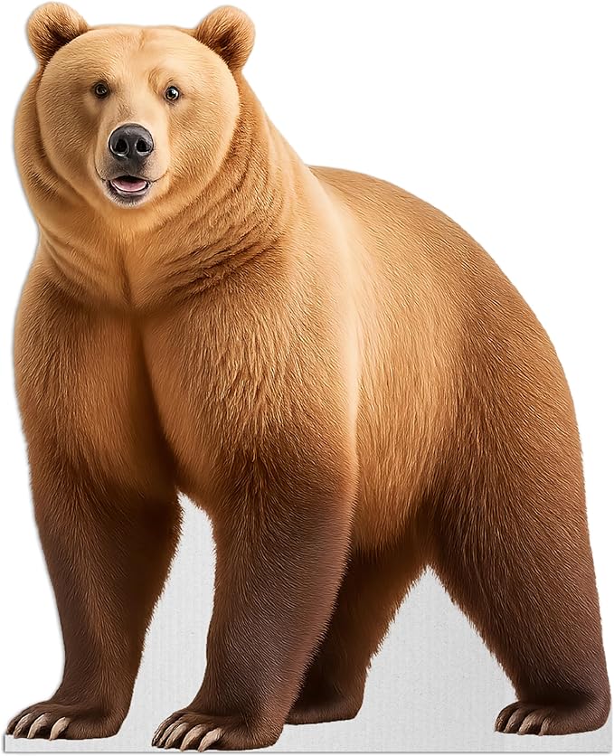 Bear - Walking Life Size Standee - 4FT Freestanding Coroplast Cutouts | Safari Animal Standup Photo Booths, Jungle Party, Birthday & Halloween Decorations