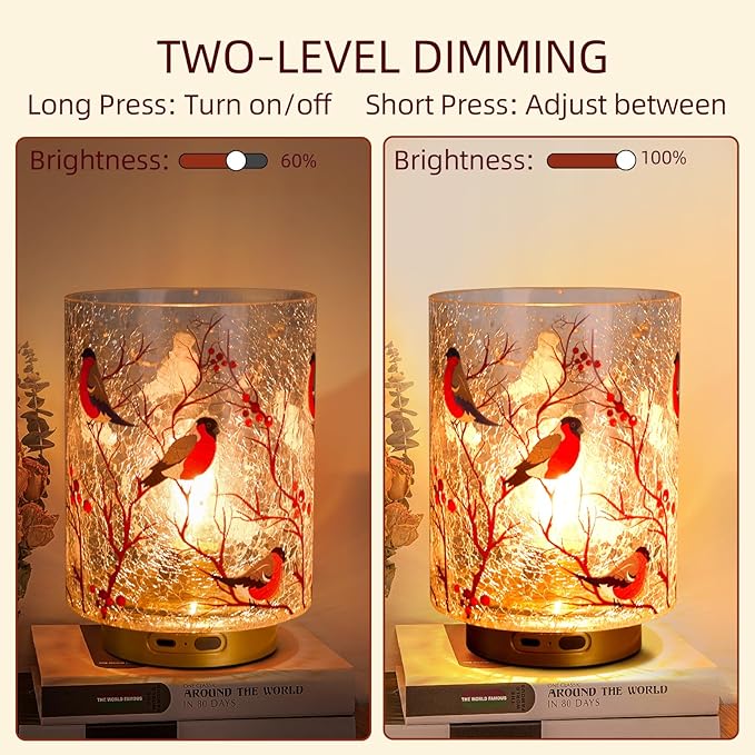 Rechargeable Battery Table Lamp Timer, Handmade Crackle Glass Lamps with Two-Level Dimmer, Emergency Cordless Lamp for Area No Plug, Decorative Mood Light for Entryway/Corner/Bedroom/Bathroom(Red)