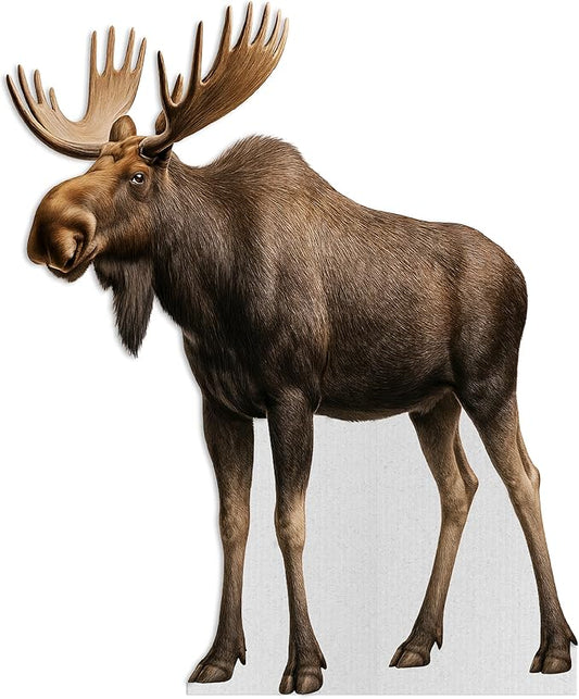 Moose Life Size Standee - 4FT Freestanding Coroplast Cutouts | Safari Animal Standup Photo Booths, Jungle Party, Birthday & Halloween Decorations