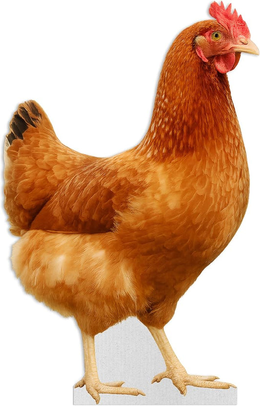Hen Life Size Standee - 2FT Freestanding Coroplast Cutouts | Farm Animal Standup Photo Booths, Birthday & Halloween Decorations