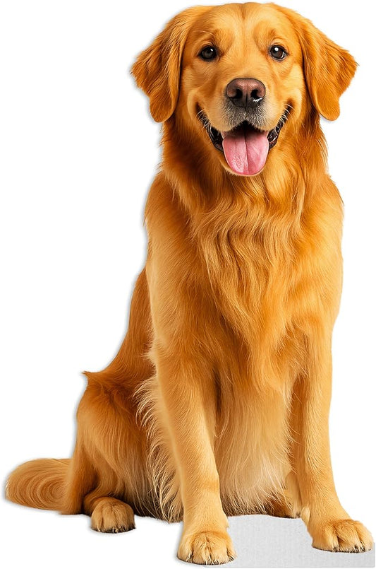 Dog - Golden Life Size Standee - 4FT Freestanding Coroplast Cutouts | Pets Animal Standup Photo Booths, Birthday & Halloween Decorations