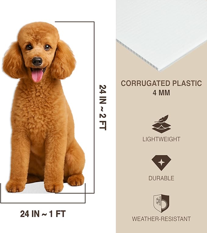 Dog - Poodle Apricot Life Size Standee - 2FT Freestanding Coroplast Cutouts | Pets Animal Standup Photo Booths, Birthday & Halloween Decorations