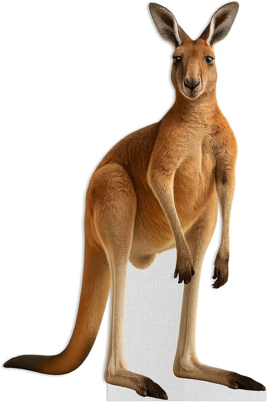 Kangaroo Life Size Standee - 4FT Freestanding Coroplast Cutouts | Safari Animal Standup Photo Booths, Jungle Party, Birthday & Halloween Decorations