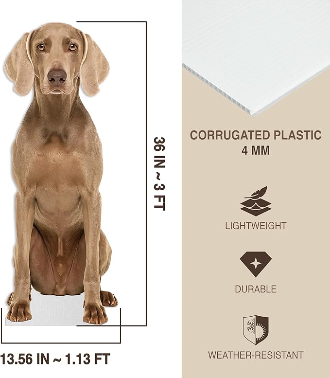 Dog - Weimaraner Life Size Standee - 3FT Freestanding Coroplast Cutouts | Pets Animal Standup Photo Booths, Birthday & Halloween Decorations