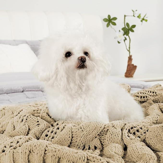 Amélie Home Chunky Knit Throw Blanket, Dual-Sided Soft Chenille Breathable Cable Knitted Blanket for Couch, Farmhouse Decorative Throw for Sofa & Chair, 60"x80", Beige