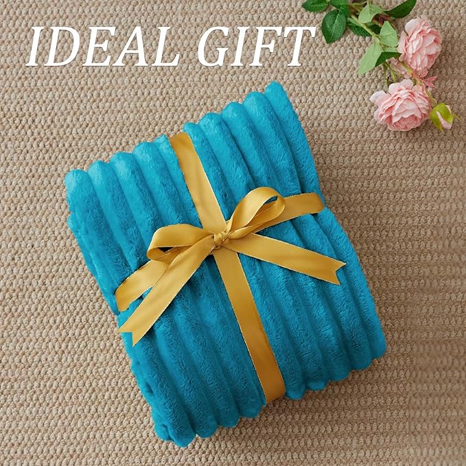 BEDELITE Twin Blanket for Couch & Bed, 300GSM Soft & Warm Fleece Blanket, Decorative and Giftable Striped Teal Blankets for Women, Men, 60"x80"