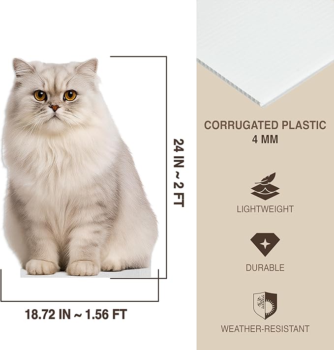 Cat - Persian Grey Life Size Standee - 2FT Freestanding Coroplast Cutouts | Pets Animal Standup Photo Booths, Birthday & Halloween Decorations